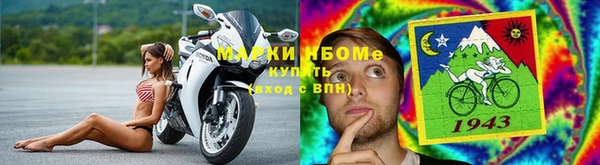 стафф Баксан