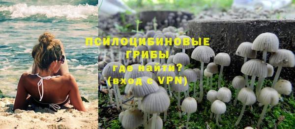 стафф Баксан