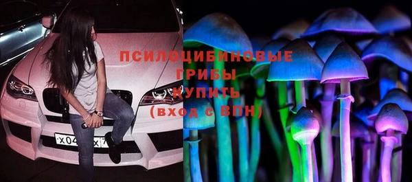стафф Баксан
